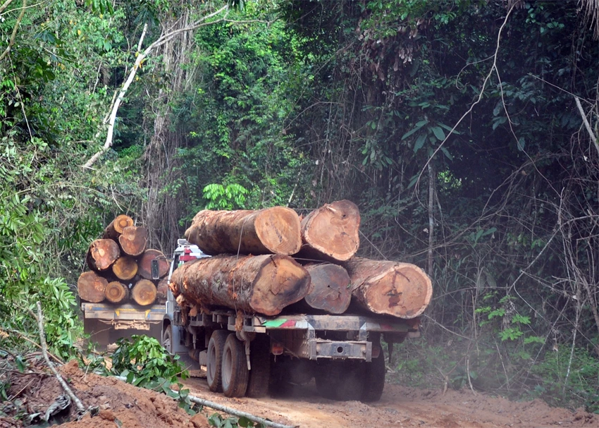 2aa-sue-branford-1489086418