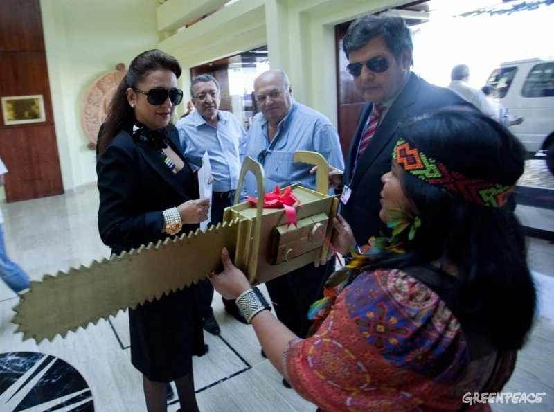 Katiarecebe-Motosserra1web