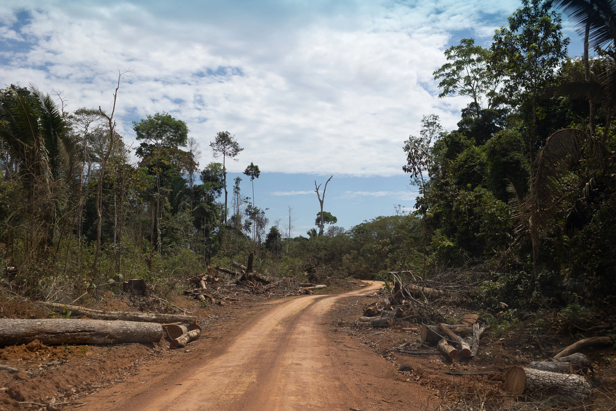 Ramal da Anta, localizado na divisa dos estados de Rondonia e Amazonas, no municipio de Labrea (AM) e em Vista Alegre do Abunã, distrito de Porto Velho (RO). 08 de agosto de 2022. Foto: Bruno Kelly.