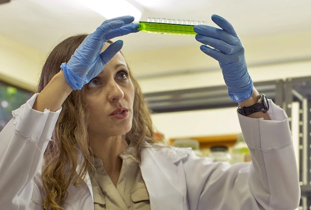 fernanda-werneck-1513962401