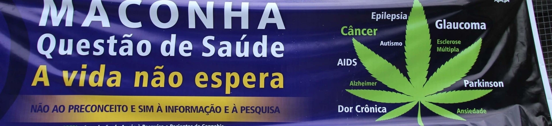 RIO DE JANEIRO,RJ,27.11.2017:DIA-MACONHA-MEDICINAL-PROTESTO-ATIVISTAS - Protesto de ativistas no Dia Nacional Maconha Medicinal, centro do Rio de Janeiro (RJ), nesta segunda-feira (27). Concentração na Praça da Cinelândia. (Foto: jose lucena/Futura Press/Folhapress) RIO DE JANEIRO,RJ,27.11.2017:DIA-MACONHA-MEDICINAL-PROTESTO-ATIVISTAS - Protesto de ativistas no Dia Nacional Maconha Medicinal, centro do Rio de Janeiro (RJ), nesta segunda-feira (27). Concentração na Praça da Cinelândia. (Foto: jose lucena/Futura Press/Folhapress)