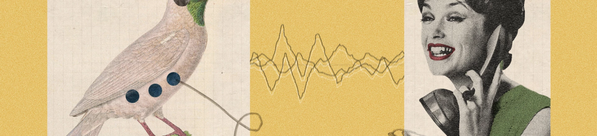 Abin teria mais poderes de espionagem com nova lei. Então por que seus agentes a rejeitam? Abin teria mais poderes de espionagem com nova lei. Então por que seus agentes a rejeitam?