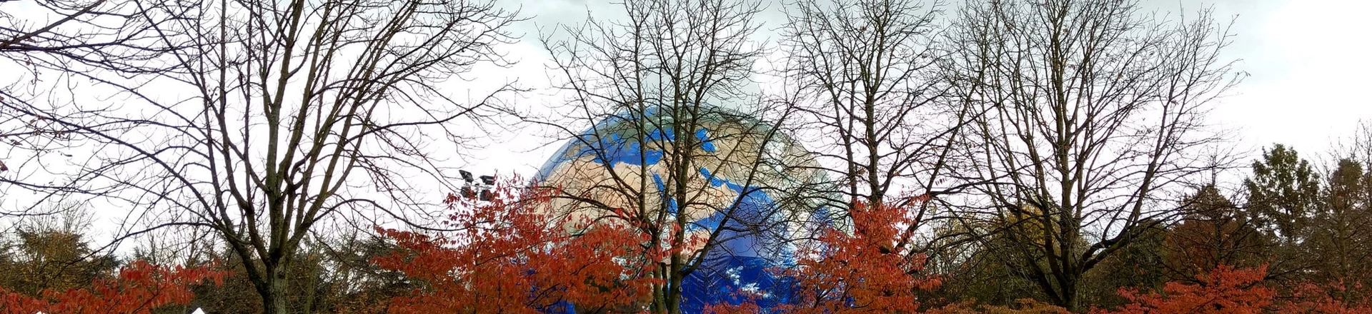 23ª Conferência do Clima acontece em Bonn, na Alemanha. 23ª Conferência do Clima acontece em Bonn, na Alemanha.