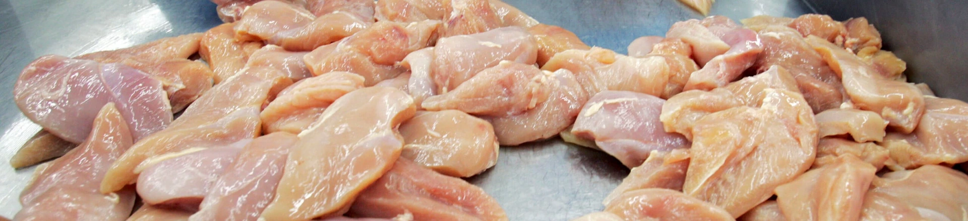 CHONBURI, THAILAND - JULY 9: Chicken breasts get sorted at the Thai Poultry Group (TPG) chicken processing and slaughtering factory July 9, 2005 in Chonburi, Thailand. The factory has 1,200 employees that are able to deal with 10,000 birds per hour at full capacity. However since Bird Flu outbreak, the processing plant has had to cut its production almost 40%. The Thai Poultry Group exports to European Union, Japan, Middle East, Hong Kong and South Korea. (Photo by Paula Bronstein/Getty Images) CHONBURI, THAILAND - JULY 9: Chicken breasts get sorted at the Thai Poultry Group (TPG) chicken processing and slaughtering factory July 9, 2005 in Chonburi, Thailand. The factory has 1,200 employees that are able to deal with 10,000 birds per hour at full capacity. However since Bird Flu outbreak, the processing plant has had to cut its production almost 40%. The Thai Poultry Group exports to European Union, Japan, Middle East, Hong Kong and South Korea. (Photo by Paula Bronstein/Getty Images)