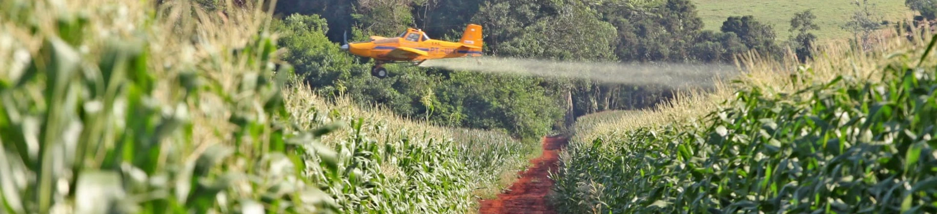 CAMPO MOURÃO, PR. 02.04.2016: Pulverização aérea de plantação de milho em Campo Mourão, região Centro-Oeste do Paraná. (foto: Dirceu Portugal/Folhapress) CAMPO MOURÃO, PR. 02.04.2016: Pulverização aérea de plantação de milho em Campo Mourão, região Centro-Oeste do Paraná. (foto: Dirceu Portugal/Folhapress)