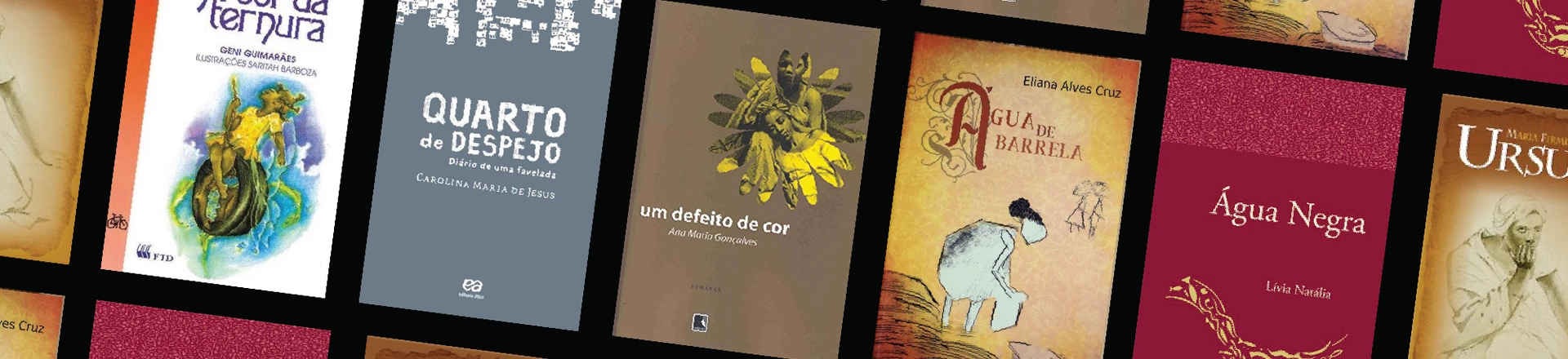 Já conhece a vasta literatura produzida por mulheres negras? Já conhece a vasta literatura produzida por mulheres negras?
