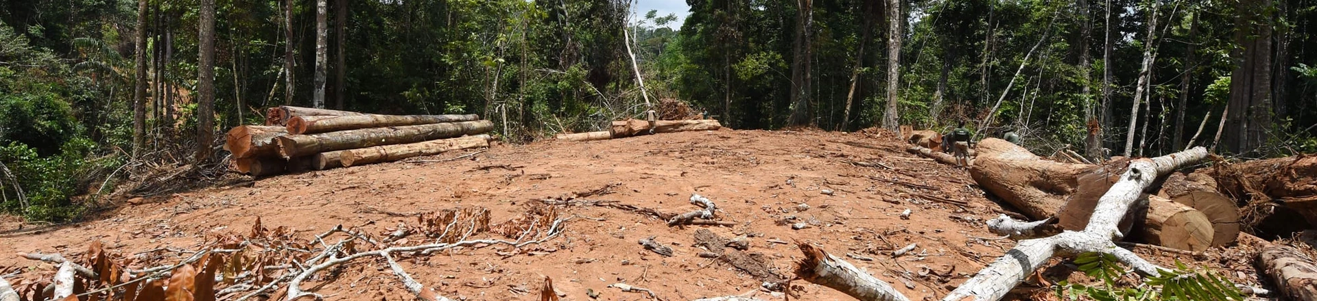 Picture of a deforested area taken during surveillance by officials from Para State, northern Brazil, in the Amazon rain forest in the municipality of Pacaja, 620 km from the capital Belem, on September 22, 2021. - The Amazon basin has, until recently, absorbed large amounts of humankind's ballooning carbon emissions, helping stave off the nightmare of unchecked climate change. But studies indicate the rainforest is hurtling toward a "tipping point," at which it will dry up and turn to savannah, its 390 billion trees dying off en masse. Already, the destruction is quickening, especially since far-right President Jair Bolsonaro took office in 2019 in Brazil -- home to 60 percent of the Amazon -- with a push to open protected lands to agribusiness and mining. (Photo by EVARISTO SA / AFP) (Photo by EVARISTO SA/AFP via Getty Images) Picture of a deforested area taken during surveillance by officials from Para State, northern Brazil, in the Amazon rain forest in the municipality of Pacaja, 620 km from the capital Belem, on September 22, 2021. - The Amazon basin has, until recently, absorbed large amounts of humankind's ballooning carbon emissions, helping stave off the nightmare of unchecked climate change. But studies indicate the rainforest is hurtling toward a "tipping point," at which it will dry up and turn to savannah, its 390 billion trees dying off en masse. Already, the destruction is quickening, especially since far-right President Jair Bolsonaro took office in 2019 in Brazil -- home to 60 percent of the Amazon -- with a push to open protected lands to agribusiness and mining. (Photo by EVARISTO SA / AFP) (Photo by EVARISTO SA/AFP via Getty Images)