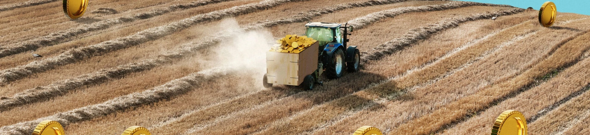 Com Bolsonaro, preço das terras dobrou em capitais do agronegócio em Mato Grosso Com Bolsonaro, preço das terras dobrou em capitais do agronegócio em Mato Grosso