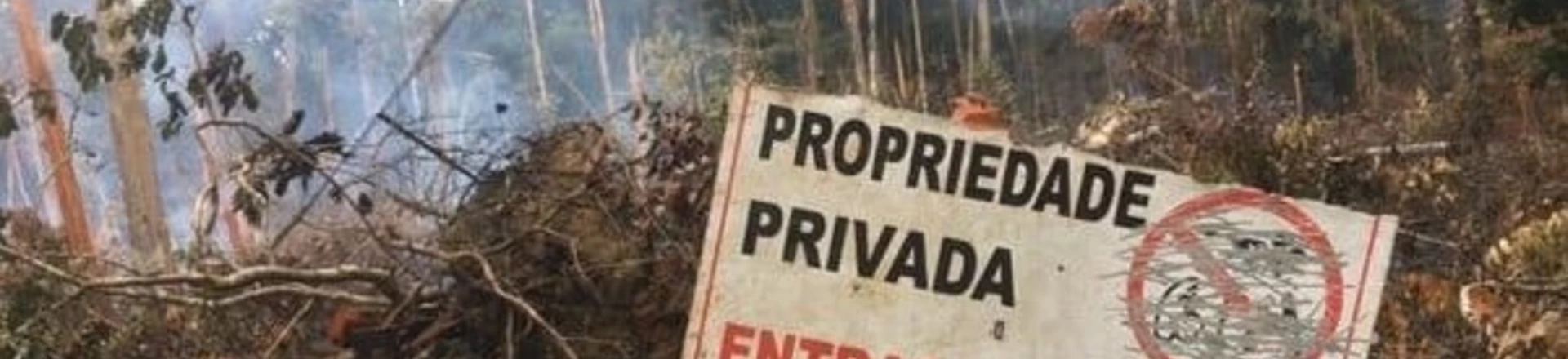 Área de reserva legal desmatada ilegalmente em terras adjacentes ao PDS Virola-Jatobá Área de reserva legal desmatada ilegalmente em terras adjacentes ao PDS Virola-Jatobá