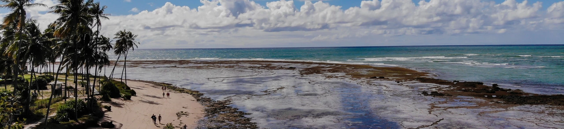 Praia do Forte, no município de Mata de São João (BA). Foto: Cleber Sandes/Coofiav/Folhapress Praia do Forte, no município de Mata de São João (BA). Foto: Cleber Sandes/Coofiav/Folhapress