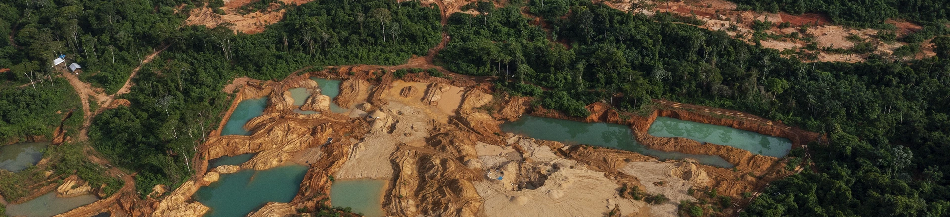 Território Kapaypó tem sido alvo de constantes invasões de terra no Pará. Território Kapaypó tem sido alvo de constantes invasões de terra no Pará.