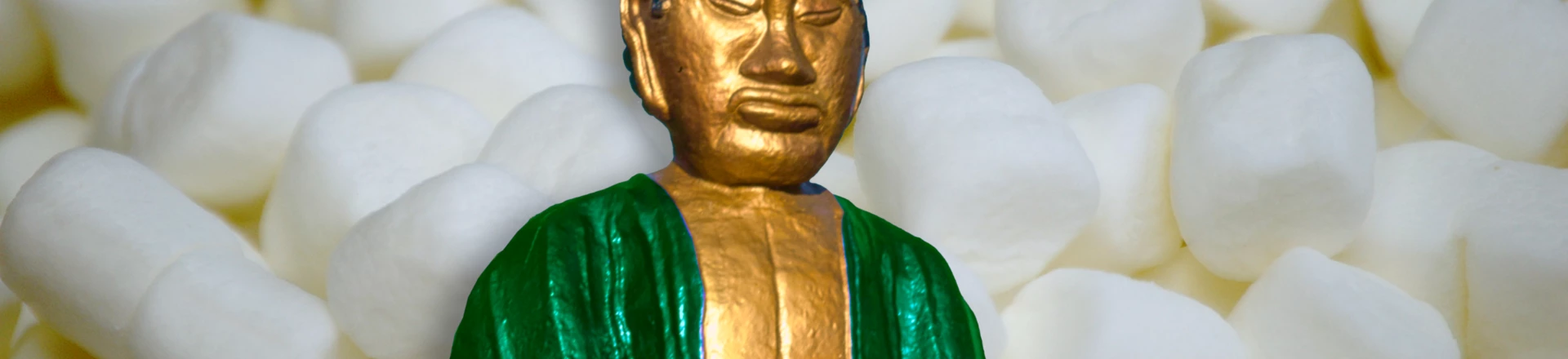 A paciência de quem pode A paciência de quem pode