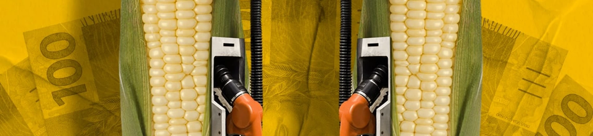 Agro conseguiu R$ 2,5 bilhões do Fundo Clima para financiar empresas com infrações ambientais Agro conseguiu R$ 2,5 bilhões do Fundo Clima para financiar empresas com infrações ambientais