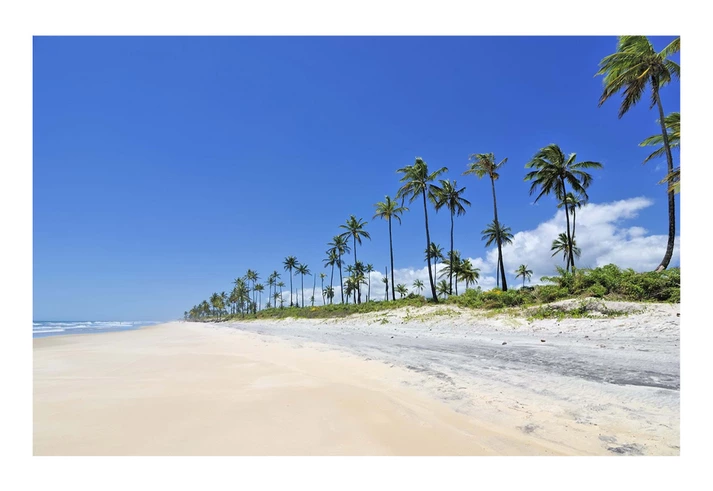 Documento revela pressão da Embratur sobre a Funai para transformar terra indígena em hotel de luxo na Bahia