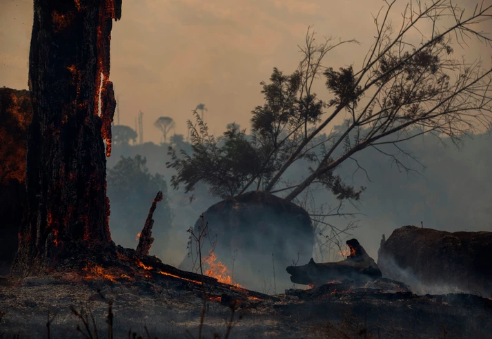 Documentos e áudios inéditos mostram plano de Bolsonaro para povoar Amazônia contra chineses, ONGs e Igreja Católica