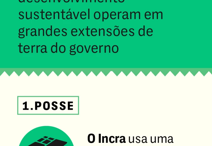 Dorothy Stang foi assassinada porque queria salvar a Amazônia. Esta é a sua segunda morte