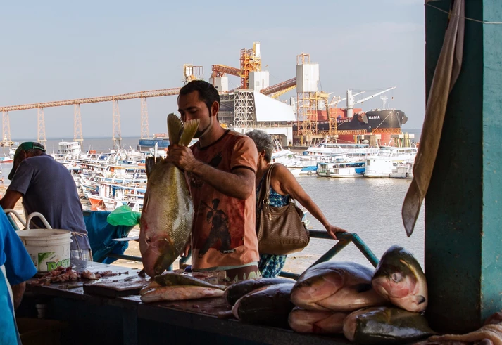 De Sorriso a Santarém, indústria da soja transforma Bacia do Tapajós em um tabuleiro de grandes obras De Sorriso a Santarém, indústria da soja transforma Bacia do Tapajós em um tabuleiro de grandes obras