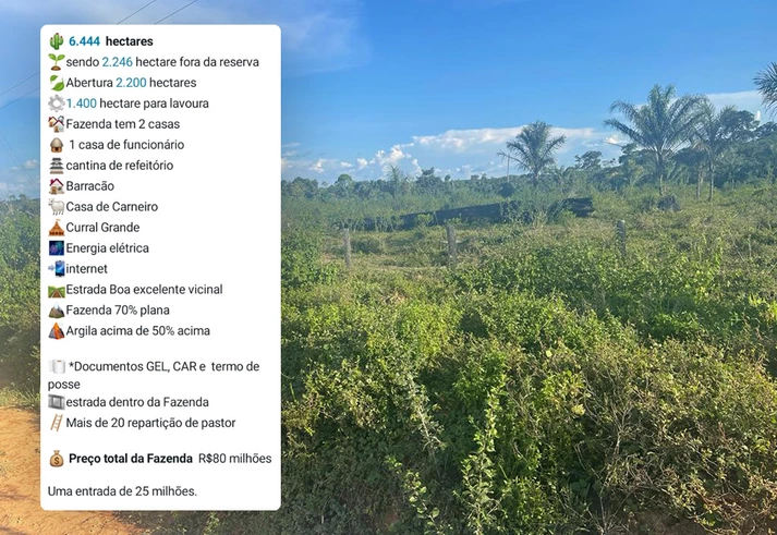 Profissionais colocam estado a serviço da grilagem de terras públicas na Amazônia