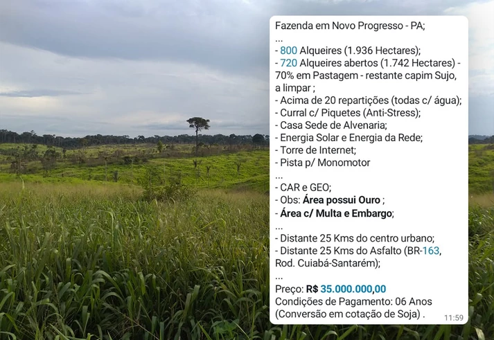 Profissionais colocam estado a serviço da grilagem de terras públicas na Amazônia