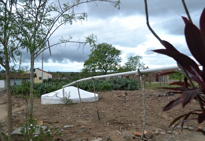 Centrão nutrido, Nordeste com sede